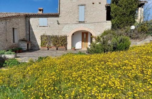 Acqualagna Apartment | Agriturismo del Frontino - Lo Studio