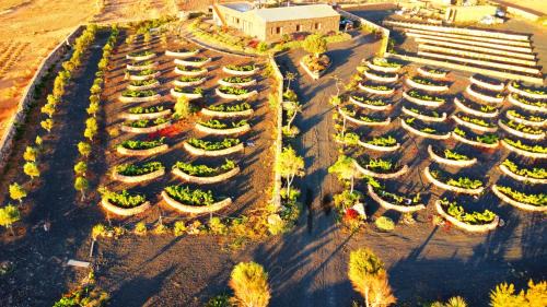 Puerto del Rosario Apartment | Agriturismo El Bounty1