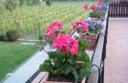 Albana Bed & Breakfast | Agriturismo Grillo Iole Winery