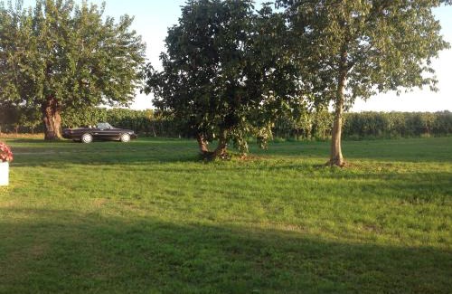 Castelnuovo del Garda House | Agriturismo I Mischi