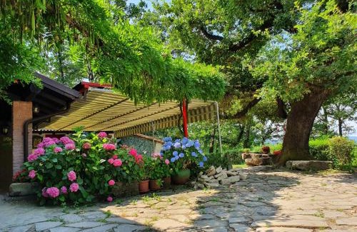 Lerma House | Agriturismo Il Burlino Apartments