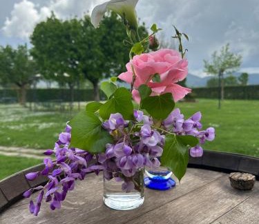 Beroide House | Agriturismo Il Casale Grande