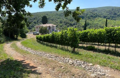 Livorno Bed & Breakfast | Agriturismo Il Molino