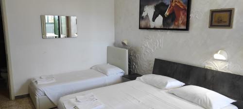 Boncore House | Agriturismo Il Pavone