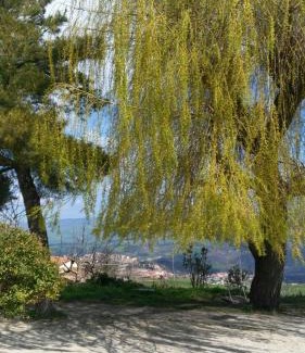 Baselice House | Agriturismo Il Regio Tratturo