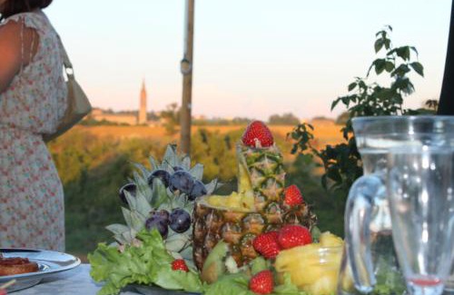 Castelvetro di Modena House | Agriturismo Le Casette