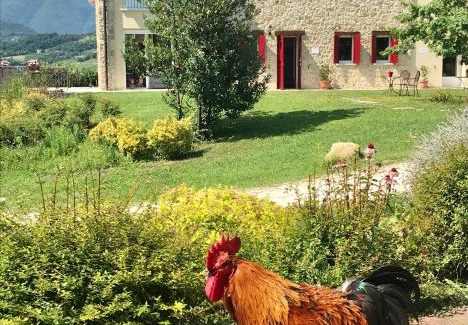 San Pietro di Feletto Bed & Breakfast | Agriturismo Lemire