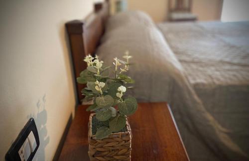 Trecenta Bed & Breakfast | Agriturismo La Bisa