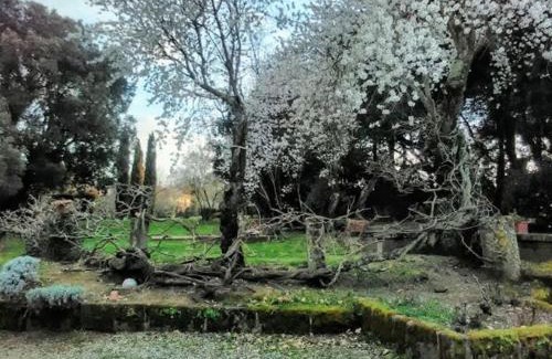 Viterbo House | Agriturismo la Romanella