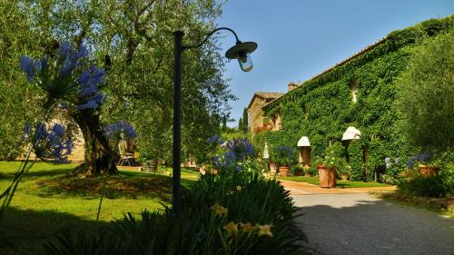 Sarteano House | Agriturismo La Sovana