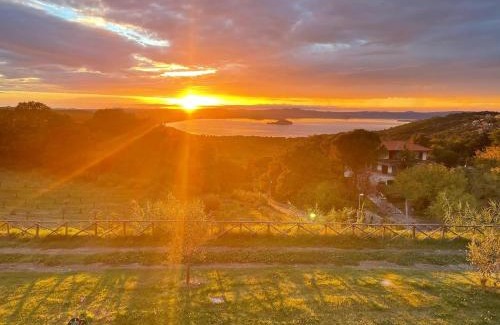 Montefiascone House | Agriturismo Le Casette Sul Lago