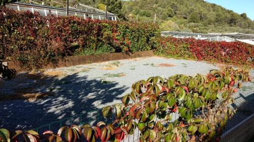 Villanova d'Albenga House | Agriturismo Le Collinette