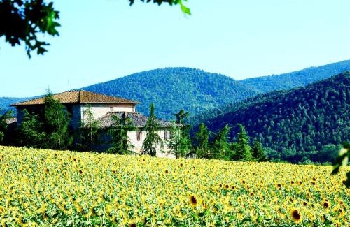 Sovicille Apartment | Agriturismo Montioni