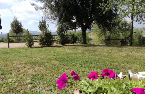 Campagnatico Apartment | Agriturismo Podere Selvette