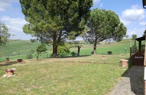 Campagnatico Apartment | Agriturismo Podere Selvette