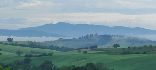 Scansano House | Agriturismo Podere Verdicchio