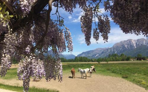 Buia House | Agriturismo San Floreano