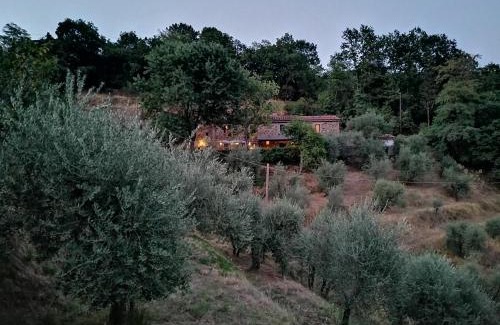 Marliana Bed & Breakfast | Agriturismo Tananei