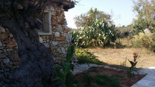Alezio House | Agriturismo Tenuta La Siesta
