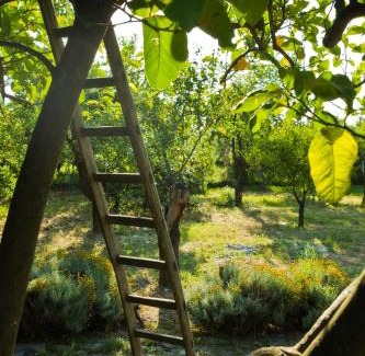 Trappitello House | Agriturismo Terrenia