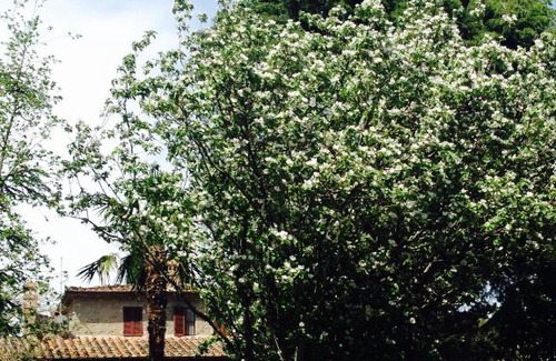 Sinalunga Villa | Agriturismo Villa Panorama