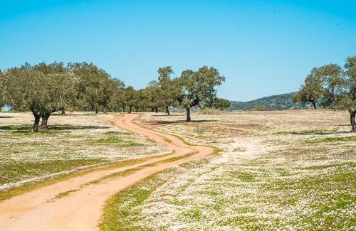 Montemor-o-Novo House | Agro-Turismo Herdade do Carneiro