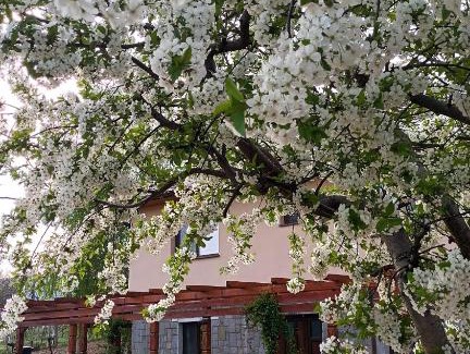 Niculitel House | Agropensiunea-Alexandra