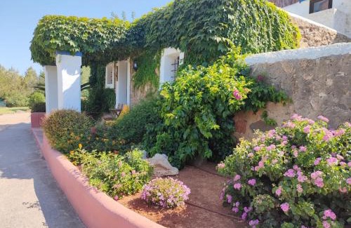 Santa Gertrudis Hotel | Agroturismo Can Marquet - Adults Only