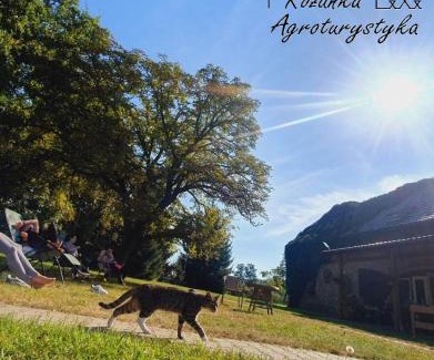 Nowy Tomysl House | Agroturystyka Różanka