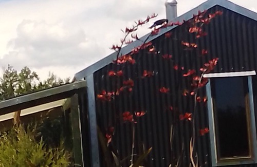Totara Flat Cabin | Ahaura River valley views a short walk from Bach