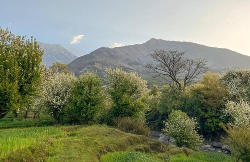 Sidhpur House | Ahmiyat - Cosy 2 bedroom Cottage in a Village