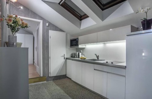 Prague 1 Apartment | Air conditioned Penthouse with Spacious roof terrace in the heart of Old Town