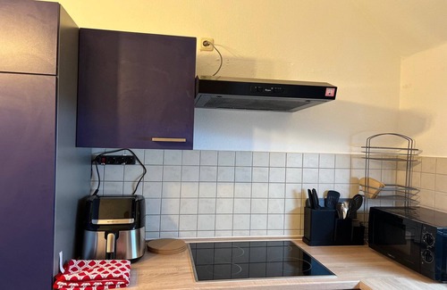 Zwickau Apartment | Airy City Apartment in Zwickau