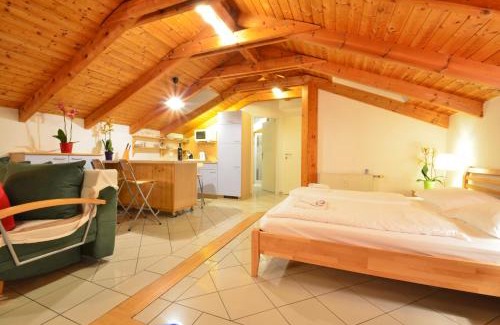 Donaustadt Apartment | AJO Apartments - Alte Donau Lake View Penthouse - Self-Check-in