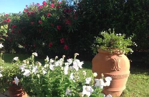 Oggiono Bed & Breakfast | Al Chiarè