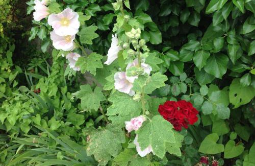 Oggiono Bed & Breakfast | Al Chiarè