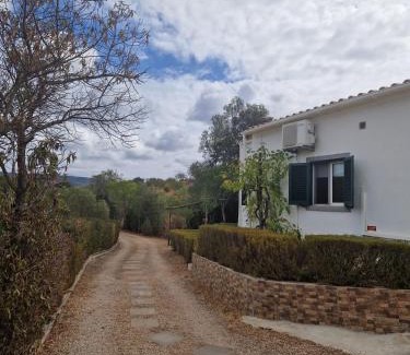 Salir House | Alagoas Park