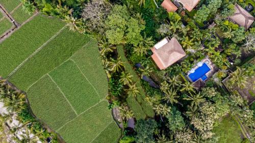Nyuh Kuning Resort | Alam Shanti Ubud