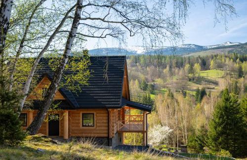 Przesieka Villa | AleBale Przesieka luksusowy dom z bali z widokiem na Karkonosze