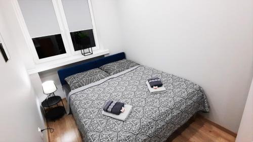 Czestochowa Apartment | ALEJA PARK CZĘSTOCHOWA