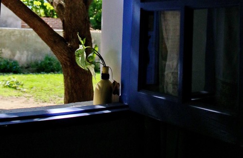 Cafayate Bed & Breakfast | Algarroba B&B