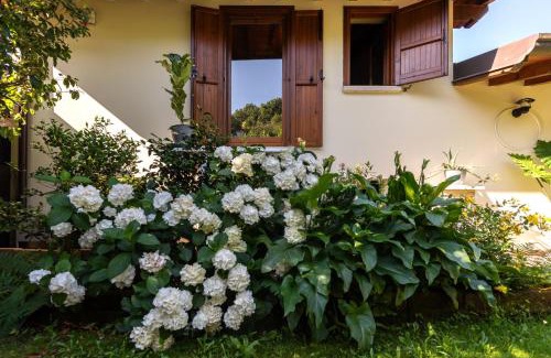 Gavardo Bed & Breakfast | Alice nel Paese delle Meraviglie