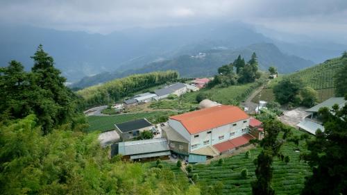 Zhuqi House | Alishan Mao Hsin