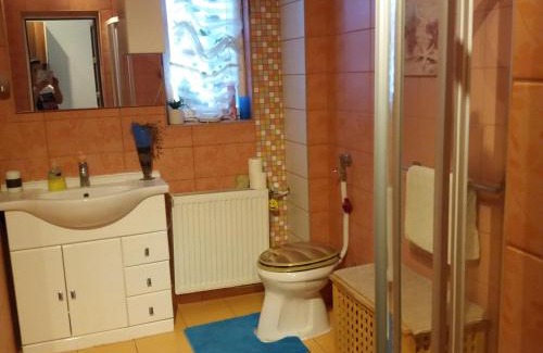 Sostogyogyfurdo Apartment | Aliz Apartman