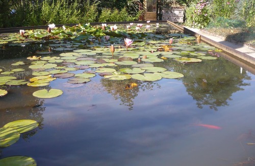 Lanquais House | All the charm of Périgord .holiday house near Bergerac with your pets