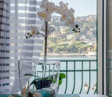 Rapallo Apartment | Alla Casa Rosa al Mare, Central Seafront Stay, Air Conditioning, Wi-Fi, the Ideal Choice for a Relaxing and Exciting Coastal Escape, with available on request at 20,00 euro per night Private Garage, Welcome kit Priority, Prosecco and Canestrelli