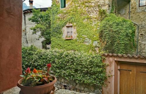 Maggiana Bed & Breakfast | Alla Torre del Barbarossa B&B FORESTERIA