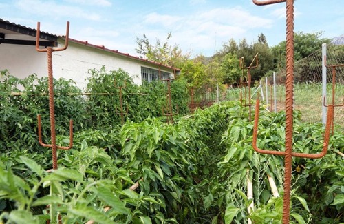 Benalauria Villa | Allaenfrente Rural House