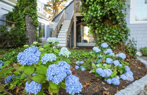 Harwich Port Hotel | Allen Harbor Rentals