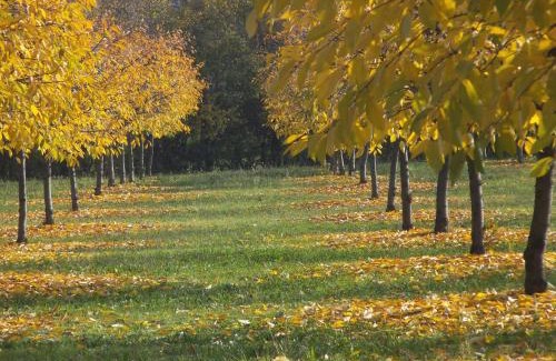 Formigine House | Alloggio Cantalupo